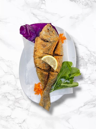 [10167] قروص مقلي 