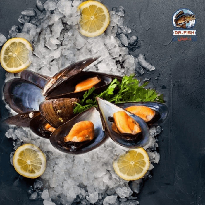 بلح بحر (محار) بالكريمة  old