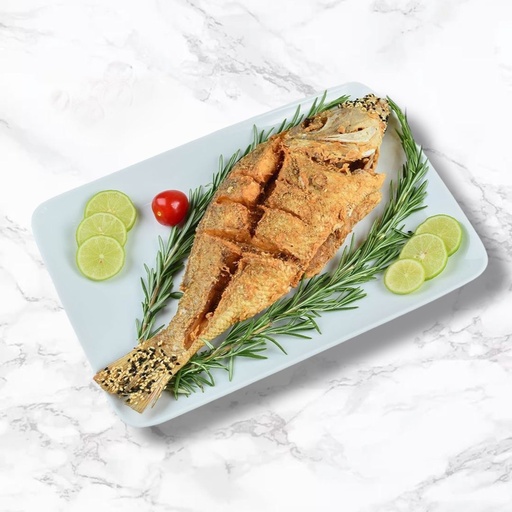 [10107] شعور مقلي 